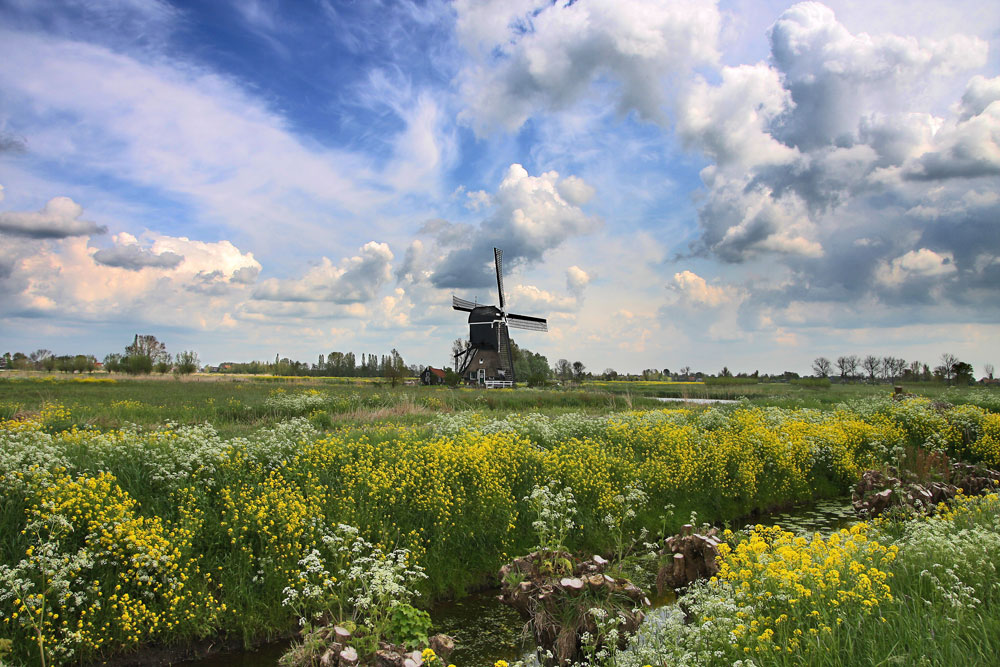 strakplan fotografie nederlands landschap